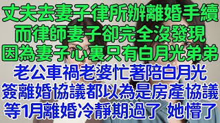 太搞笑了，丈夫去妻子律所辦理離婚手續，而律師妻子卻完全沒發現，因為妻子心裏只有白月光弟弟，老公車禍老婆忙著陪白月光，簽離婚協議都以為是房產協議，等1月離婚冷靜期過了，她懵了