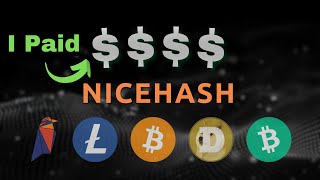 How Much Blocks Did I WON | Nicehash Easymining | Watch the end to see how much was the TOTAL |