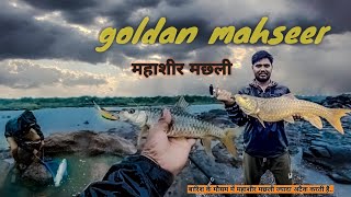 mahseer fish cache #बारिश के सुरु होती ही #महाशीर मछली कैच करने का मजा कुछ अलग ही है #fishing #video