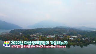 22년10월 다산생태공원 가을(Ep.7)  #자격지심 #비오 #mindful  #🇰🇷