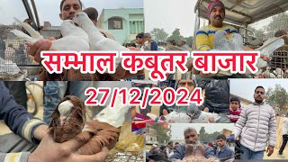 सामभाल कबूतर बाजार Sambhal Kabootar market 27/12/2024