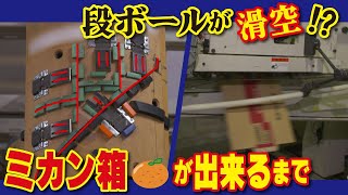 【段ボール工場に潜入】工場の巨大マシンで巨大段ボールを作る　3層構造に驚きの秘密【工場へ行こうⅢその3】