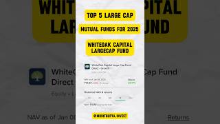 TOP 5 Large Cap Mutual Funds For 2025