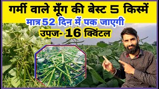 गर्मी वाले मूंग की बंपर उपज वाली बेस्ट 5 किस्में | Moong ki top variety | Moong ki kheti kaise karen