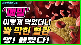 메밀 이렇게 먹었더니 꽉 막힌 혈관 뻥 뚫렸다! 혈액청소해주는 메밀의 다양한 효능,먹는방법