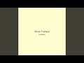 Silver Tranquil