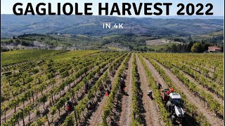 Gagliole Harvest 2022 - 4K