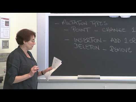 Do proteins affect genes?