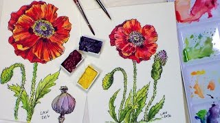 Pen \u0026 Ink Watercolor Poppy \u0026 DaVinci Paint Review