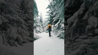 Let's se how you like this #travel #fpv #lofoten #norge #norway #forest #winter #snow #skies