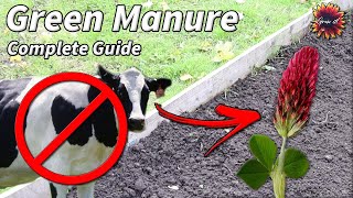 How To Use Green Manure Crops To Improve Your Soil In A Huge Way!