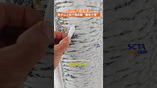 “鹅毛大雪”具象化！1月26日，湖北黄石。因为大降温#男子拍下鹅毛状雪块。