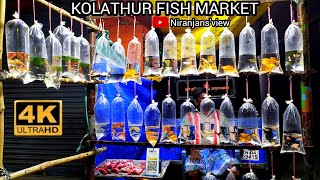 kolathur fish market | குளத்தூர் வண்ண மீன் கடைகள் #kolathur #petmarket  #aquarium #chennai #dog