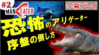 【Maneater】#2 マンイーター 恐怖のアリゲーター序盤の倒し方！字幕プレイ動画【TOD：kissa単独】【XboxOne：PC】