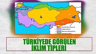 TÜRKİYEDE GÖRÜLEN İKLİM TİPLERİ