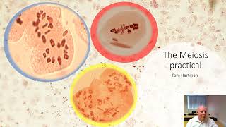 The Meiosis practical part 1 introduction with video