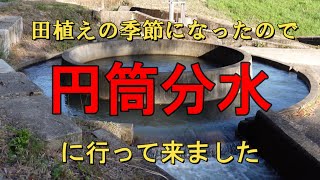 円筒分水「千足池の円筒分水」に行って来た(広島県東広島市)