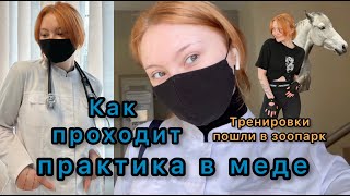 ВЛОГ: практика в медицинском / поход в зоопарк / тренировки