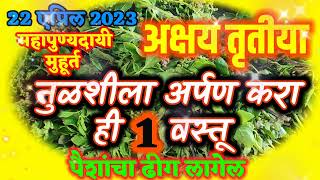 अक्षय तृतीया 2023 या दिवशी तुळशीला अर्पण करा ही 1 वस्तू पैशाचा ढीग लागेल पैसा मिळवण्यासाठी हा उपाय