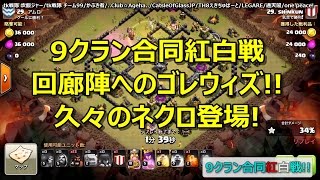 [ワンピ対戦リプ][9クラン合同紅白戦]回廊陣へのゴレウィズ!!久々のネクロ登場!