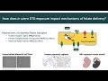 bs8 julian gilmore interaction between the integrase strand transfer inhibitor dolutegravir and fol