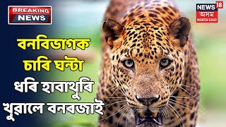 নাহৰফুটুকীৰ চফৰৰ বাবে Guwahati মহানগৰীৰ হেঙেৰাবাৰীত উত্তেজনাময় পৰিৱেশ