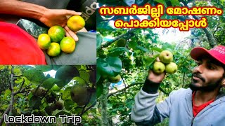 Lockdown ന് ശേഷമുള്ള Kodaikanal യാത്ര | sabarjilli orange farms Tamilnadu | Travelling Brothers