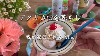 【🇺🇸アメリカ田舎暮らし】Vlog チキンとマルサラワインのパスタ/アイスクリームパーティー #国際結婚 #暮らしのvlog