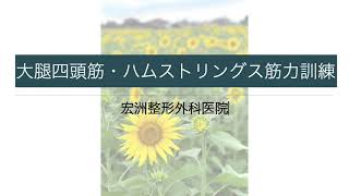 大腿四頭筋・ハムストリングス筋力訓練