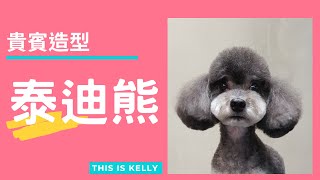 貴賓犬的泰迪熊造型｜凱莉老師 Groomer Kelly｜寵物美容教學｜Poodle Pet Grooming