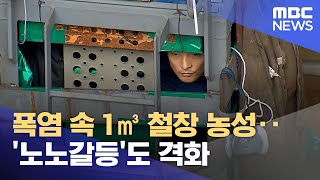 폭염 속 1㎥ 철창 농성‥'노노갈등'도 격화 (2022.07.13/뉴스투데이/MBC)