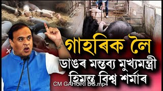 সঁচাকৈয়ে বহিৰাগত ব্যৱসায়ীক গতাই দিয়া হ'ব নেকি গাহৰিৰ বজাৰ।