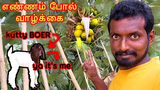 எண்ணம் போல் வாழ்க்கை | Unga valkai apdi🤔 | NG