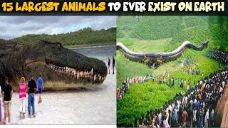 15 Largest Animals To Ever Exist On Earth | biggest animals caught on camera | Biggest Snake