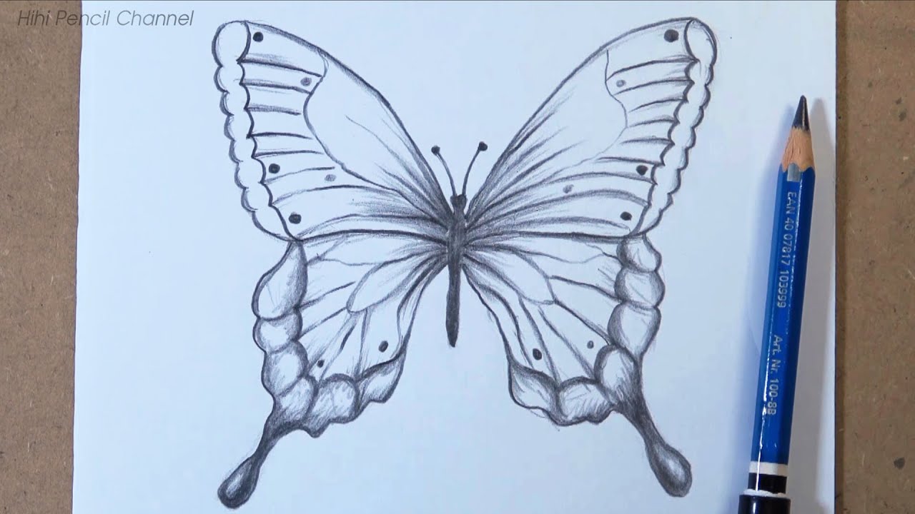 Butterfly Drawings In Pencil Butterfly Pencil Drawing Images Free