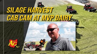 Impressive silage harvest at MVP Dairy | 2023 Cab Cam | Luke VanTilburg, Mercer County