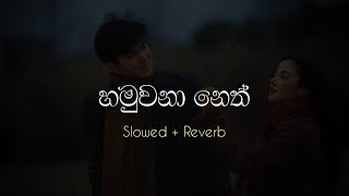 හමුවනා නෙත් | Hamuwana Neth ( Slowed + Reverb )