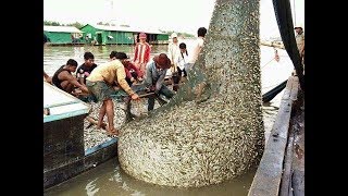 Cambodia Traditional fishing Catches 2017 Des 24