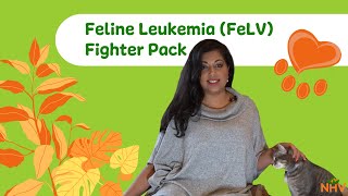 NHV Feline Leukemia (FeLV) Fighter Pack