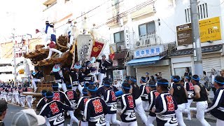 堺市だんじり祭り　深井地区だんじり　深井駅前連合パレード　深井水池町（２０１８年１０月７日）－５