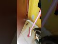 ANAK BIAWAK MASUK RUMAH  🥶 #shortsvideo #handrowis #shortsviral #shorts