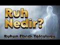 Ruh Nereye Gider? Kur'an ve Bilim Perspektifinden İnceleme