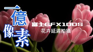 一億像素 富士GFX100S花卉延時視頻拍攝 是否讓你心動？