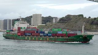 DONGJIN VENUS - DONG JIN SHIPPING container ship