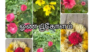 🏵️கேரள ஓணம் 1 நாள் தொடங்கி விட்டது வாங்க பார்க்கலாம்|Kerala onam poo kolam