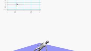 Free Fall Simulation