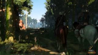 Analisis The Witcher 3