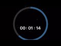 2 minute circle timer v 22 simple no sound