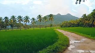 Village beauty palakkad ayiloor Village so beautiful green nature