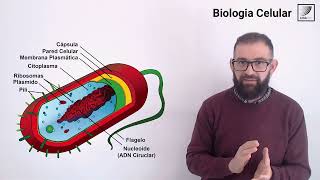 7. Biología Celular. Clasificacion de las celulas